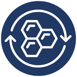 Promote Collagen Synthesis